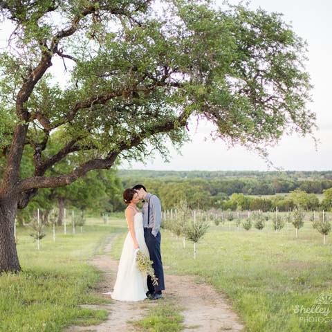 Texas Hill Country Olive Co.